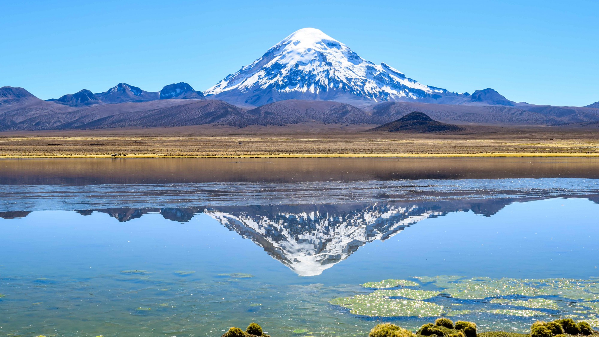 Sajama National Park Bolivia Tours