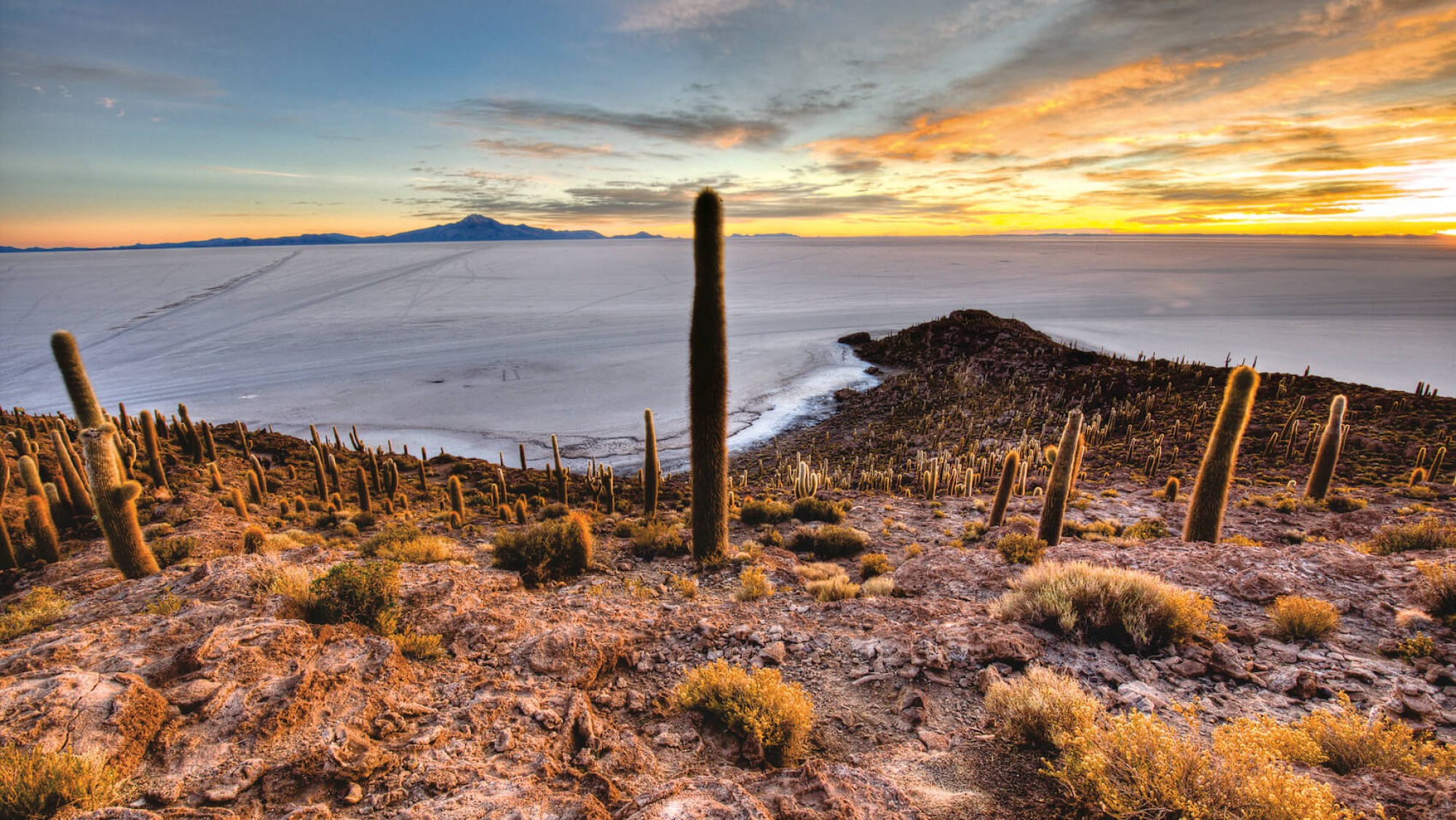 Salar de Uyuni Tours