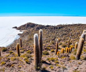 SALAR DE UYUNI & LAGOONS - 2 DAY TOUR (INCL. SALT FLATS & ANDEAN LAGOONS)