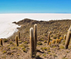 CLASSIC UYUNI SALT FLATS & EDUARDO AVAROA RESERVE - 4 DAYS